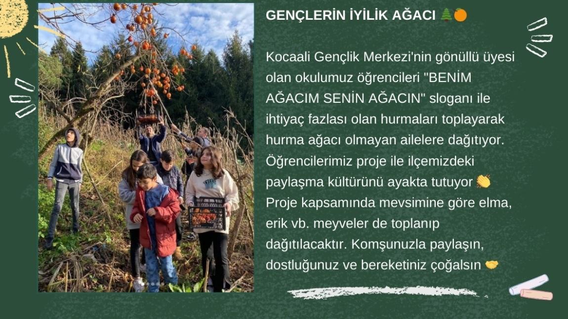 GENÇLERİN İYİLİK AĞACI YARDIMLAŞMA ETKİNLİĞİ