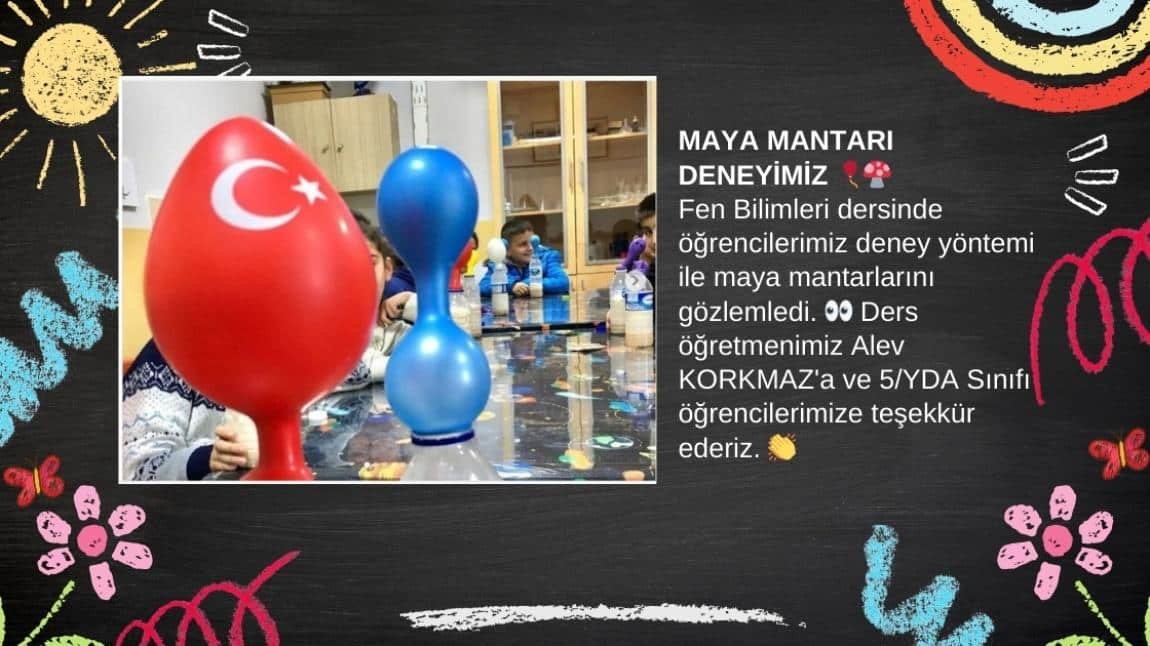 MAYA MANTARI DENEYİMİZ